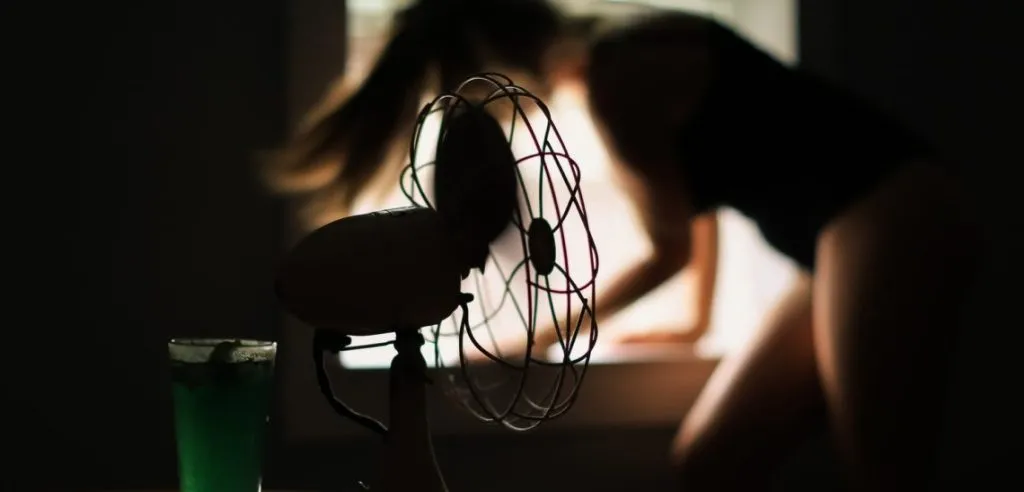 Relocation in Summer Heat – What to Expect