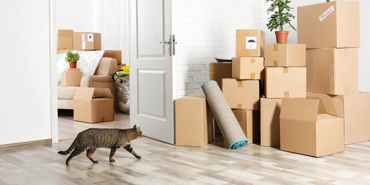 How to Pack a Two-Bedroom Apartment Like a Pro